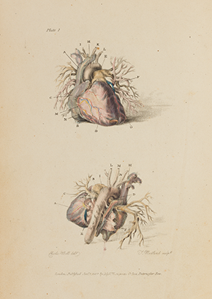 Image of page 21 from Engravings of the Arteries that links to page 21 in book reader view